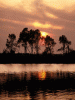 anim240320mobildesign.atw.hu_0274.gif